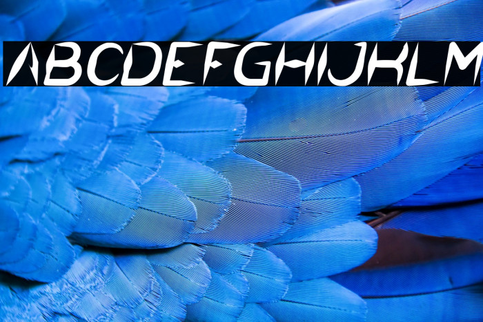 The Dark Knight Italic Example 3