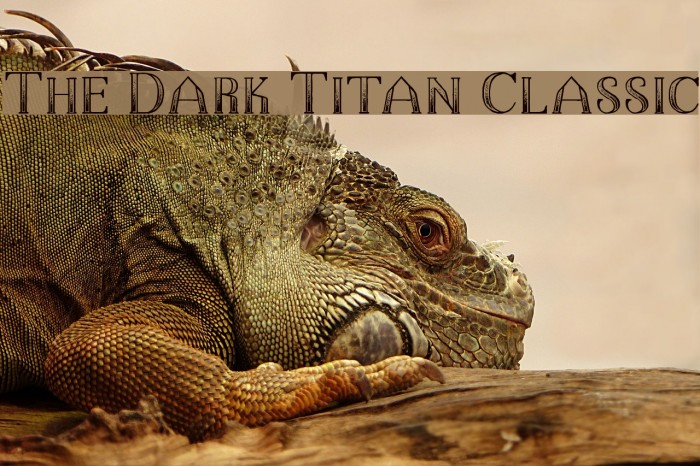 The Dark Titan Classic Font examples