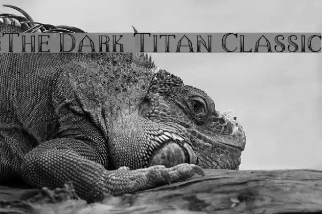 The Dark Titan Classic Schriftart examples