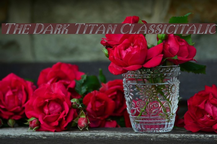 The Dark Titan Classicitalic Font examples