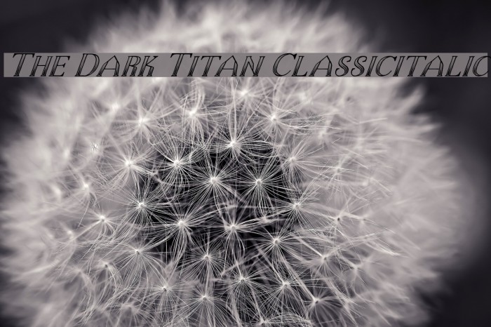 The Dark Titan Classicitalic Font examples