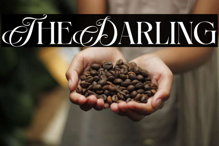 The Darling Example 1