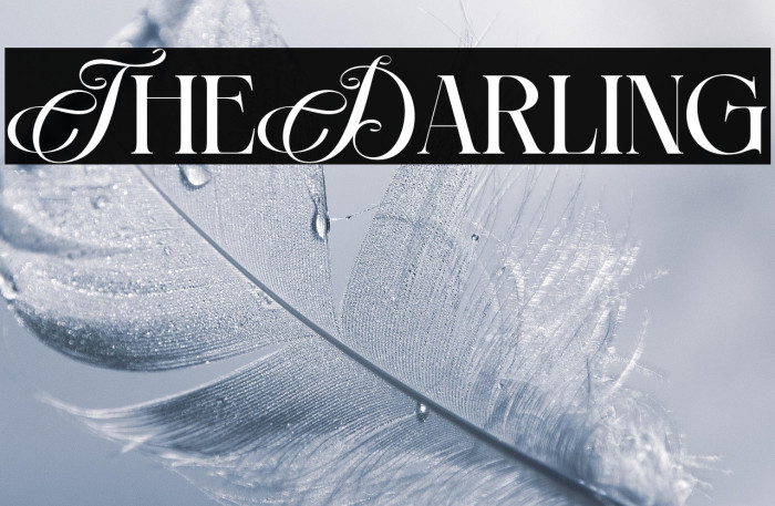 The Darling Example 3