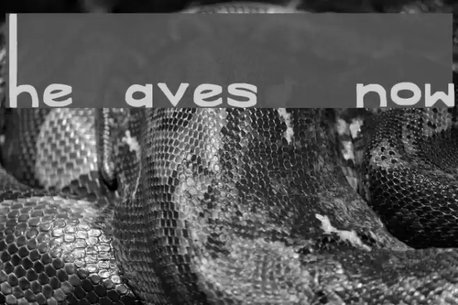 The Daves I Know Font examples