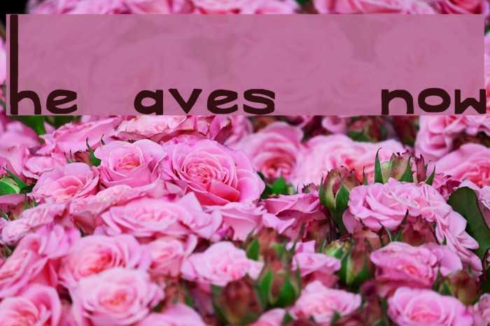 The Daves I Know Font examples