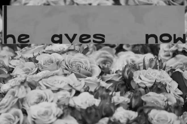 The Daves I Know Font examples