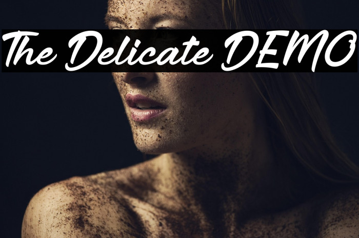 The Delicate DEMO Example 2