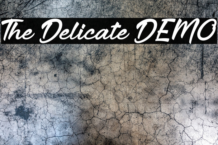 The Delicate DEMO Example 3