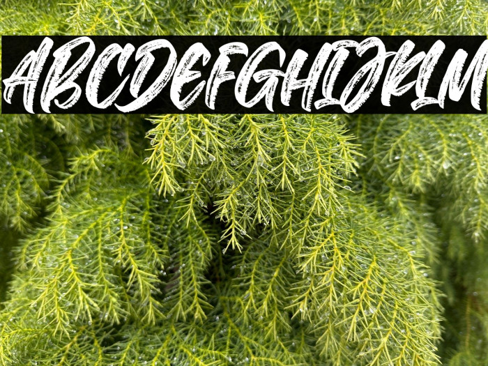 The Deliver Example 2