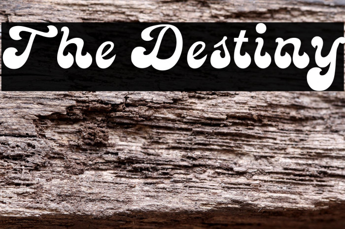 The Destiny Example 2