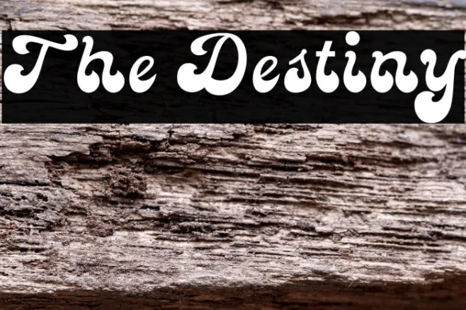 The Destiny Example 2