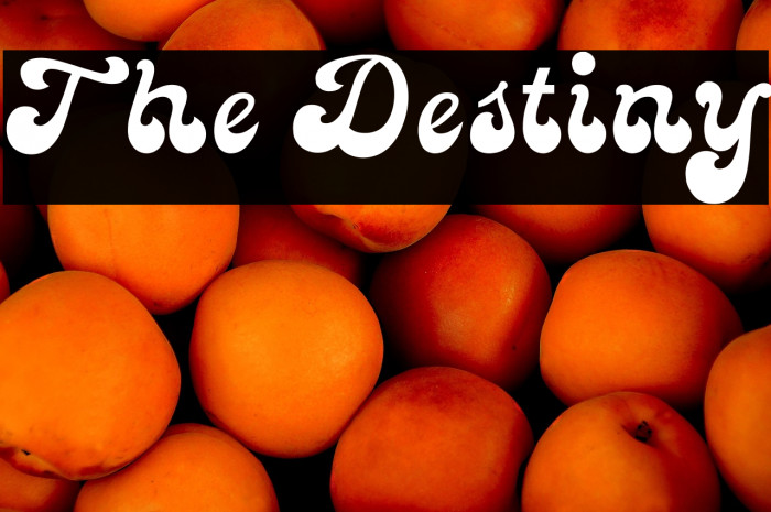 The Destiny Example 3