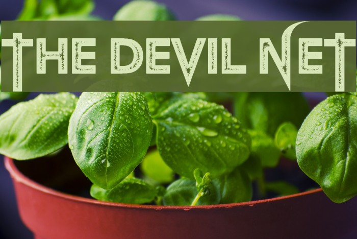 The Devil Net Font examples