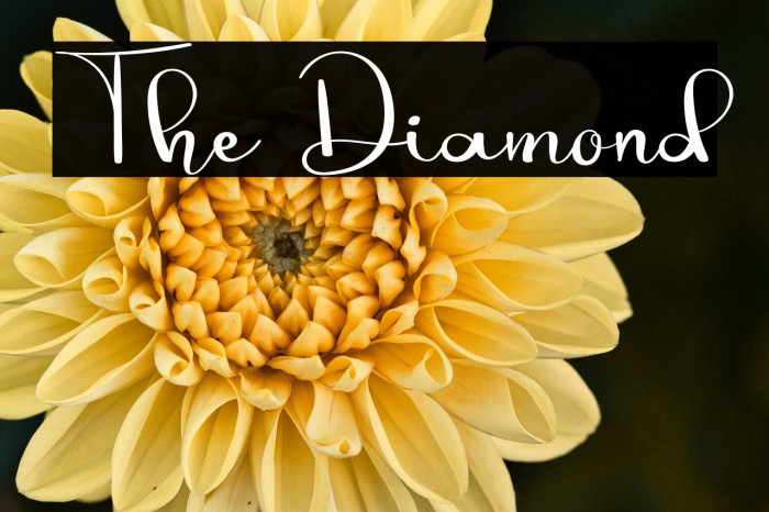 The Diamond Example 3