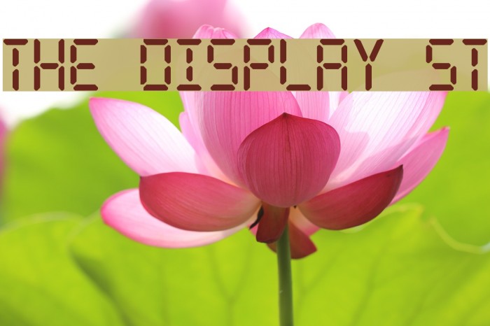The Display St フォント examples