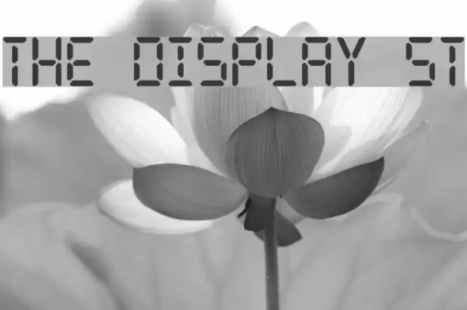The Display St フォント examples