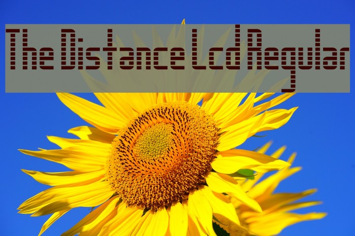 The Distance Lcd Regular Font examples