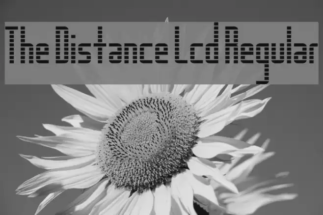 The Distance Lcd Regular Font examples