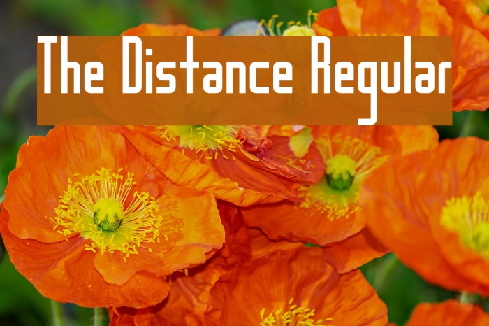 The Distance Regular Font examples