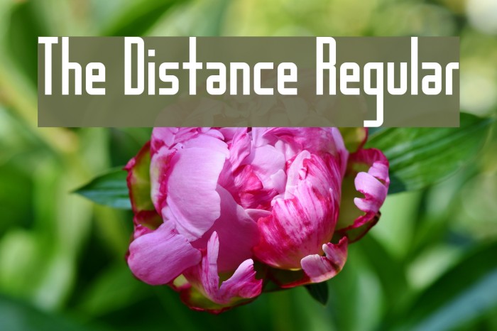 The Distance Regular Font examples