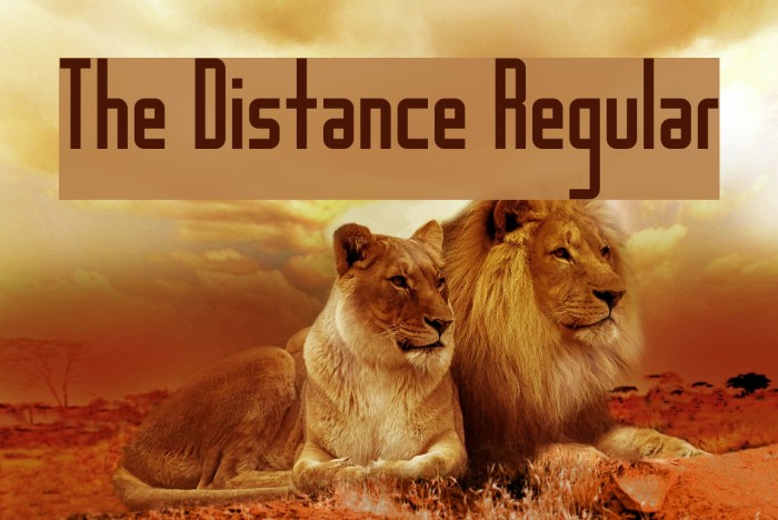 The Distance Regular Font examples