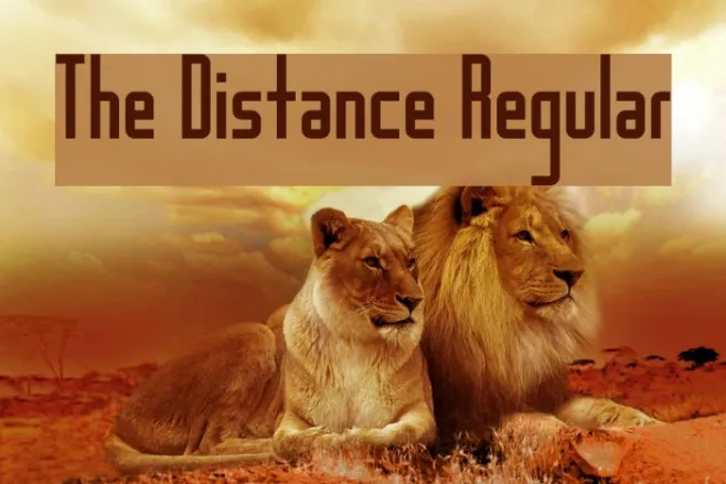 The Distance Regular Example 3