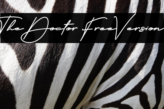 The Doctor FreeVersion Example 1