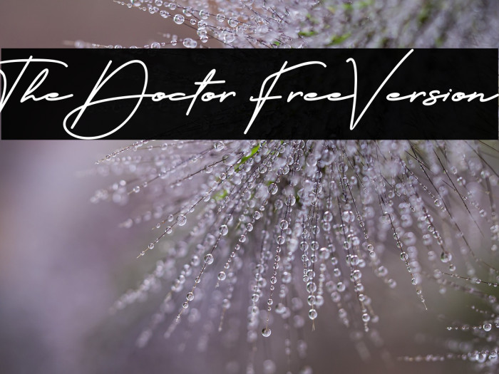 The Doctor FreeVersion Example 3