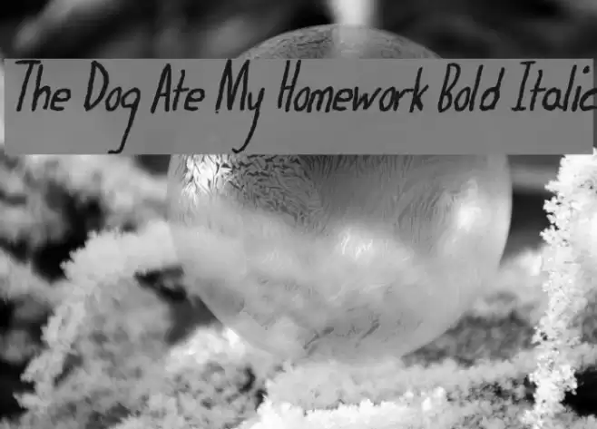 The Dog Ate My Homework Bold Italic Font examples