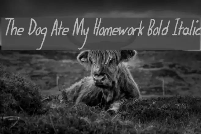 The Dog Ate My Homework Bold Italic Font examples