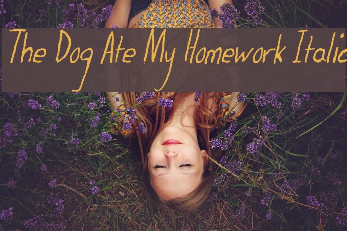 The Dog Ate My Homework Italic Font examples
