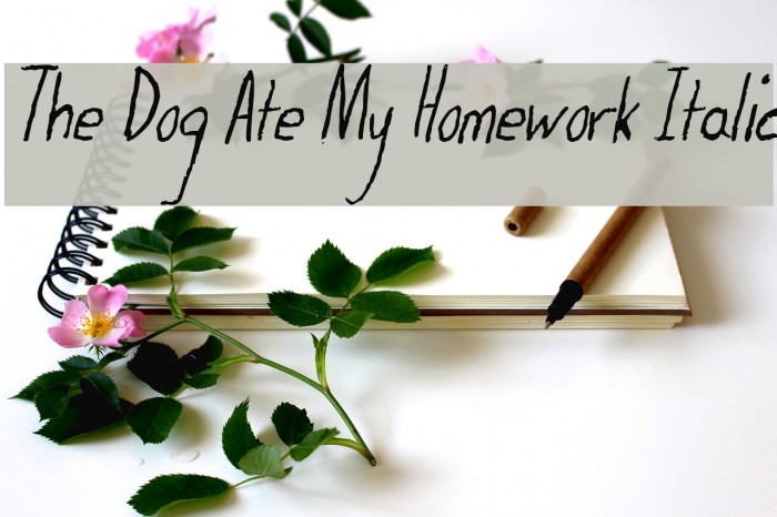 The Dog Ate My Homework Italic Font examples