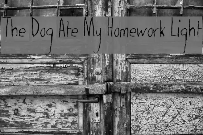 The Dog Ate My Homework Light Font examples