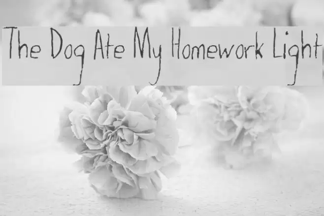 The Dog Ate My Homework Light Font examples