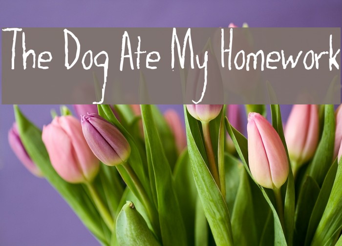 The Dog Ate My Homework Font examples