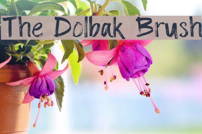 The Dolbak Brush Font examples