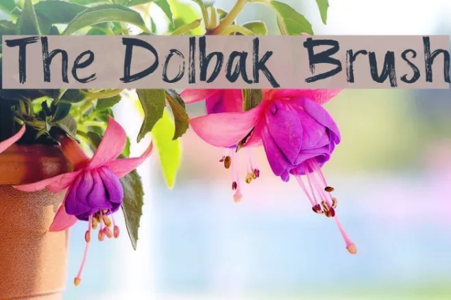 The Dolbak Brush Example 1