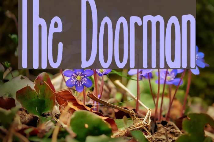 The Doorman Font examples