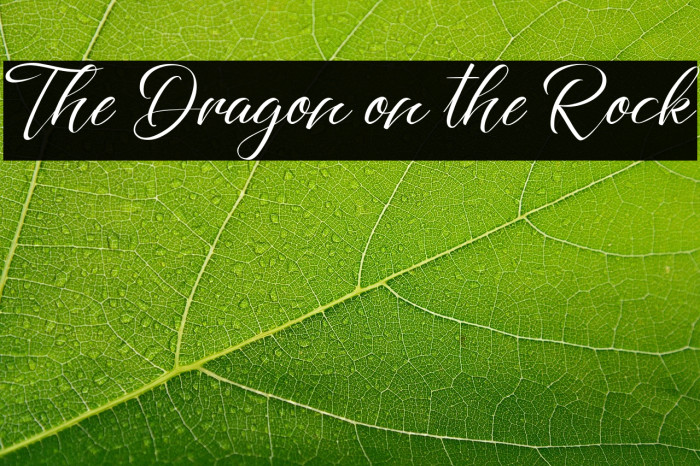 The Dragon on the Rock Example 3