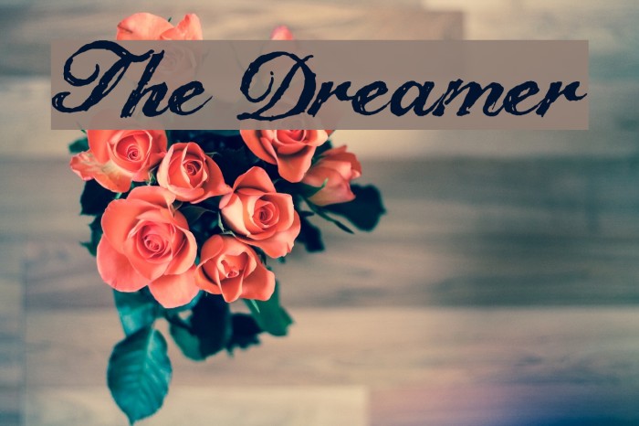 Free Dreamer Brush Script Fonts