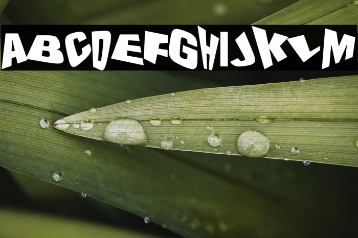 The Drunk Designer Example 2