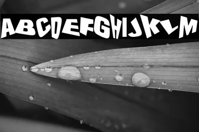 The Drunk Designer Font examples