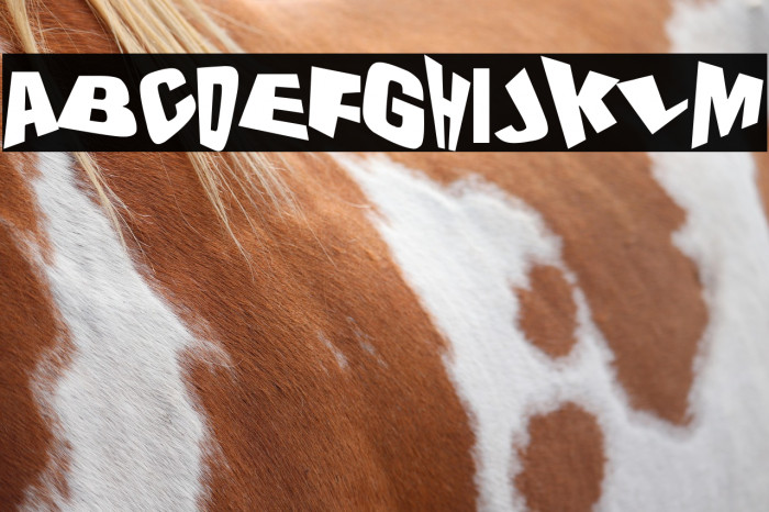 The Drunk Designer Example 3