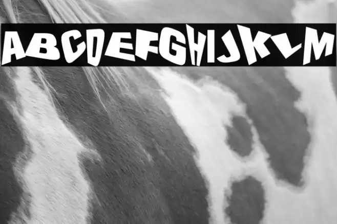 The Drunk Designer Font examples