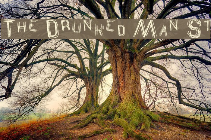 The Drunked Man St Font examples