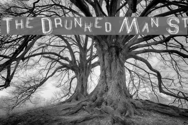 The Drunked Man St Шрифта examples