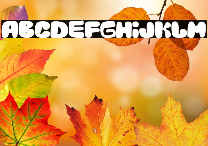 The Duck Company Example 1