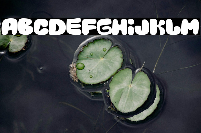 The Duck Company Example 2