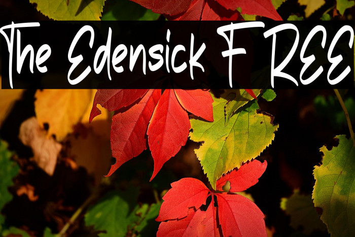 The Edensick FREE Example 1