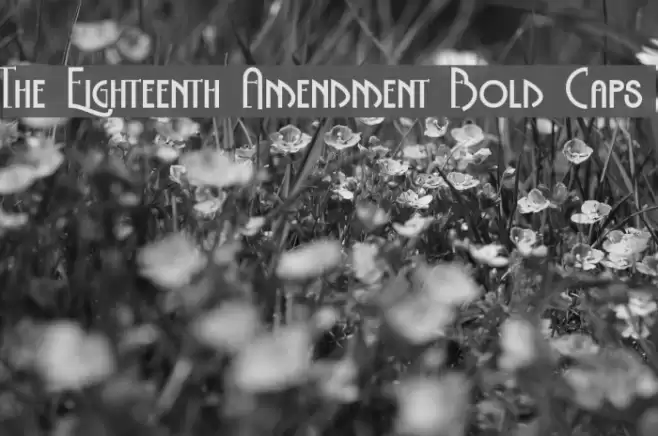 The Eighteenth Amendment Bold Caps Font examples
